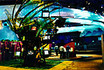 IBM lighting design